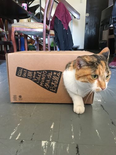 Customer photo review of Superhéroes Chilenos