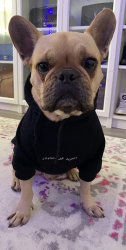 finish line nike tech fleece