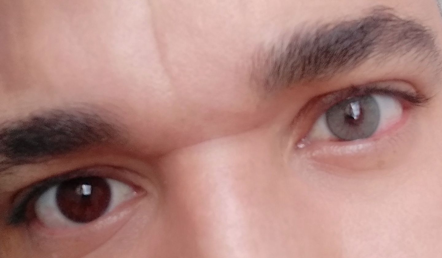 Customer photo review of Siesta Black Cloud Green
