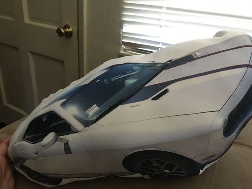 Customer photo review of Create A Custom Car Pillow