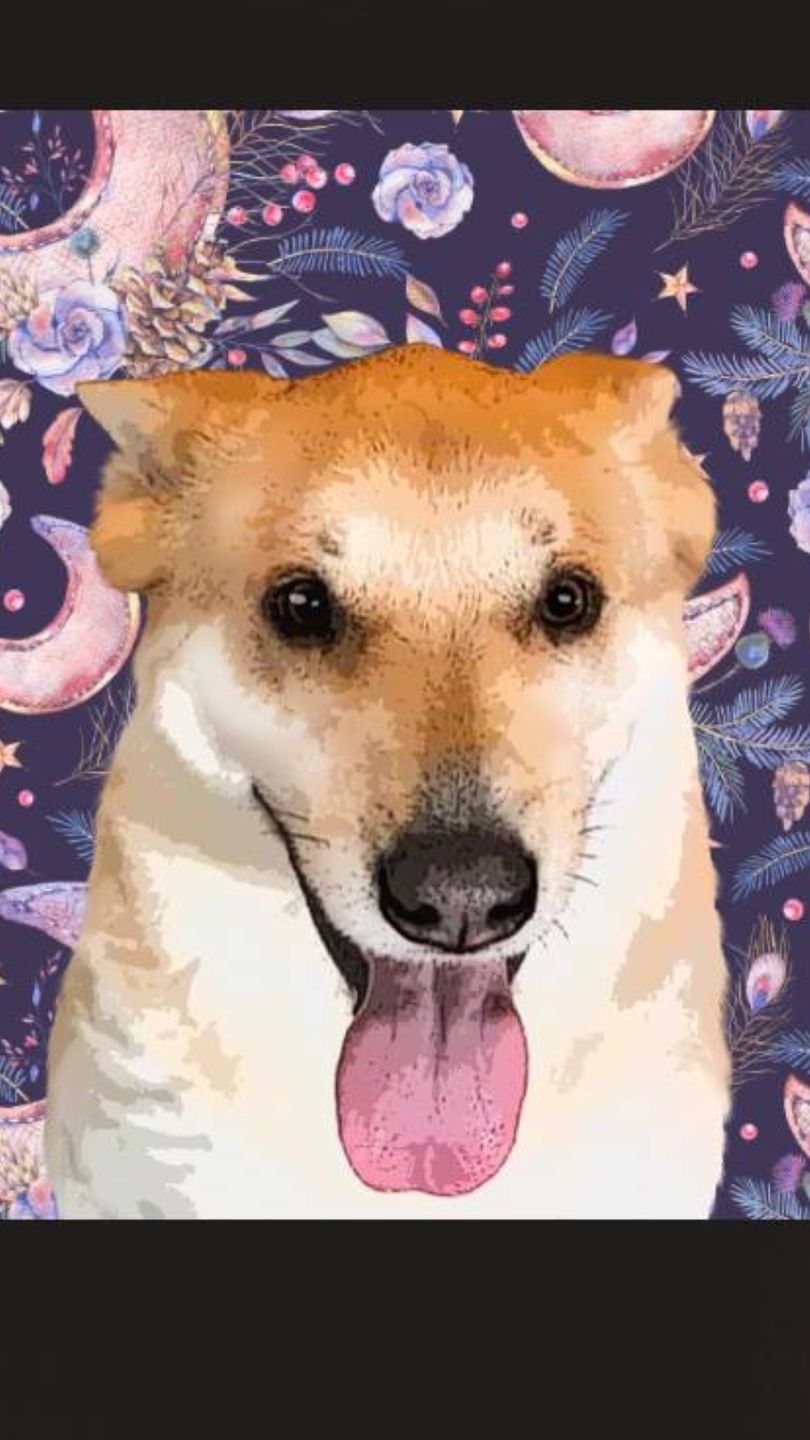 Customer photo review of Original Pet Pop Art Women's Crew Neck T-shirt