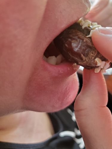 Customer photo review of Two Bite Palm Bites | Variety Pack