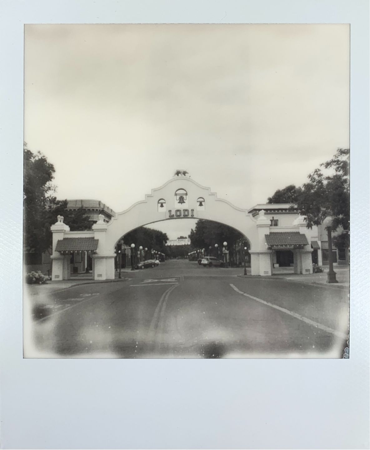 Customer photo review of Polaroid B&W SX-70 Instant Film
