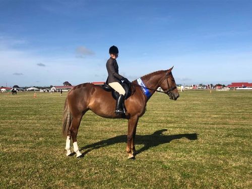 Customer photo review of Digestive EQ