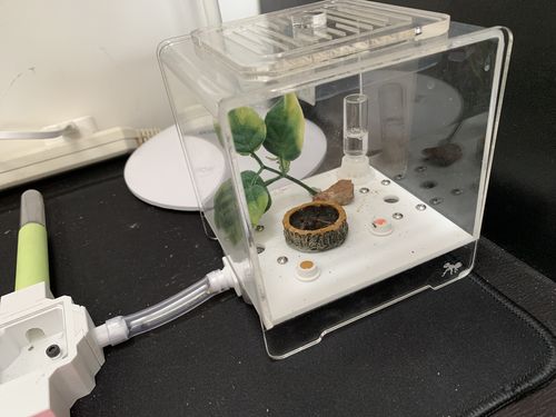 Customer photo review of AntKit Acrylic Arena 1000