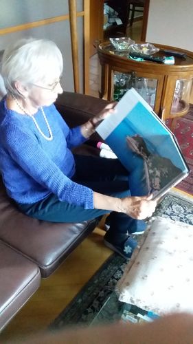 Customer photo review of La riviera Ligure di Ponente vista dal cielo