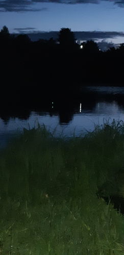 Customer photo review of 10g Smart Fishing Float