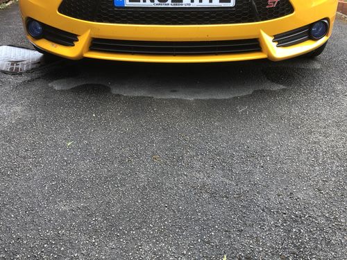 Customer photo review of Focus ST MK3 Fog Light Armour