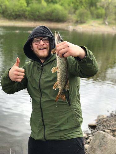 Customer photo review of Headbanger Shad 4.5"