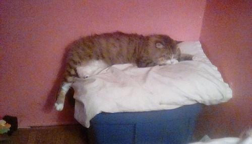 Customer photo review of Nano Silver 3 Tube Multi-Pack