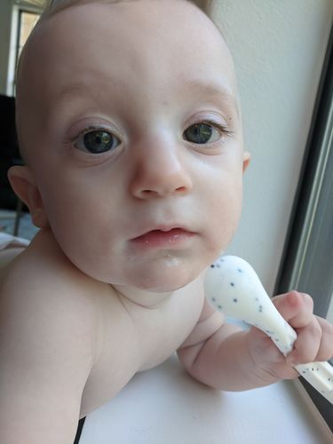 Customer photo review of Speckle Spoon Set
