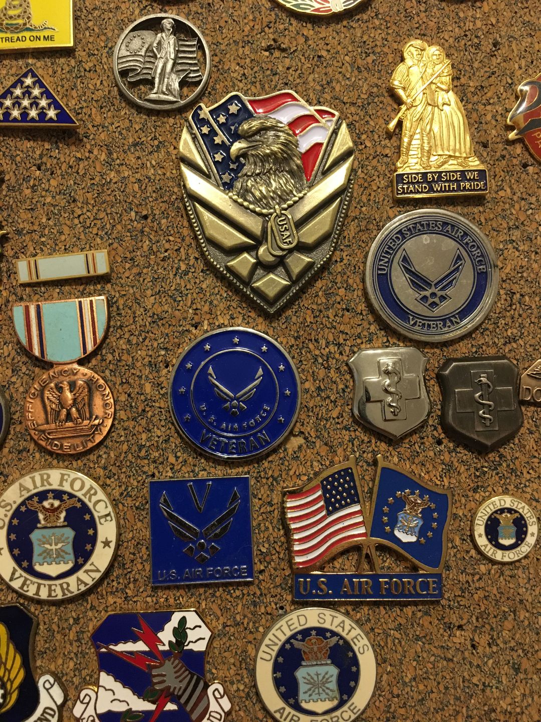Customer photo review of US Air Force Veteran Pin