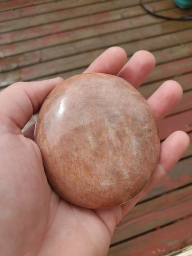 Customer photo review of @cuteanomalies