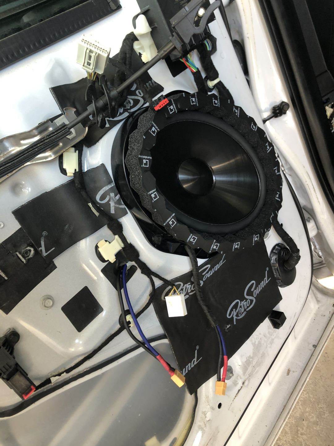 Customer photo review of SoundSkins Rings v3