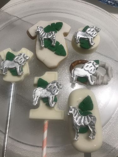 Customer photo review of Manual Airbrush by Hobbycor