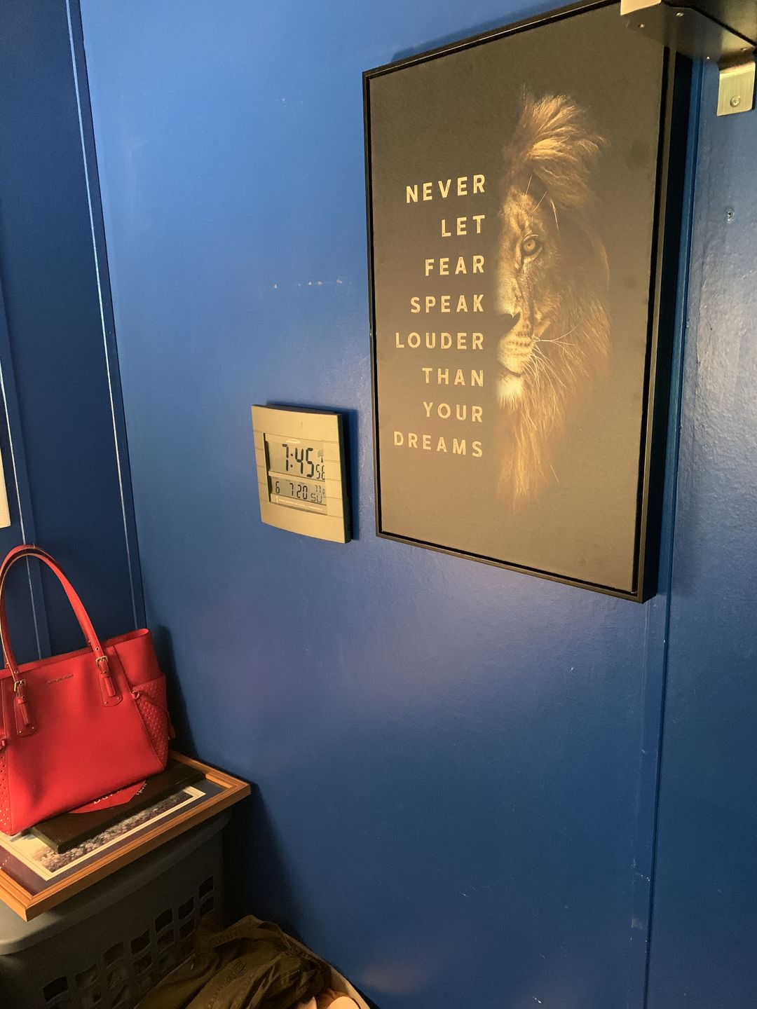 Customer photo review of Lion Motivational Canvas