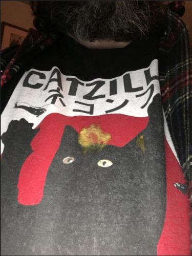 Customer photo review of Vintage Catzilla Japanese Sunset Style