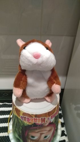 Customer photo review of Super Funny Talking Hamster