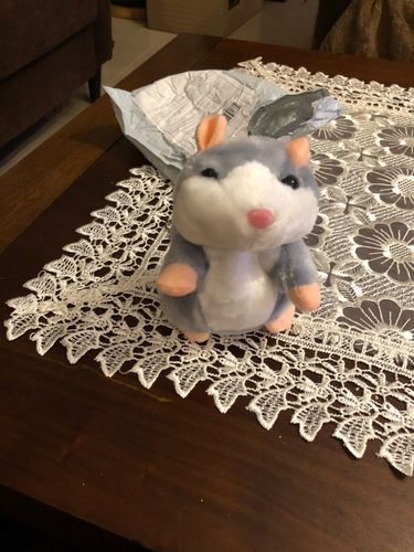 Customer photo review of Super Funny Talking Hamster