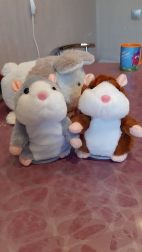 Customer photo review of Super Funny Talking Hamster