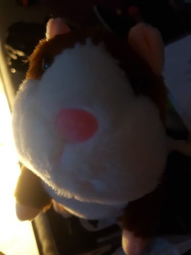 Customer photo review of Super Funny Talking Hamster