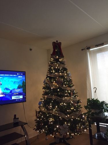 Customer photo review of Nae Nae's Hair Boost 9oz