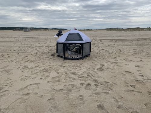 Customer photo review of Pop N' Go® Playpen