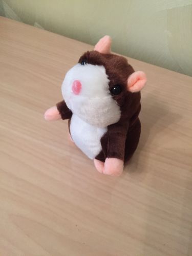 Customer photo review of Super Funny Talking Hamster