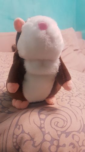Customer photo review of Super Funny Talking Hamster