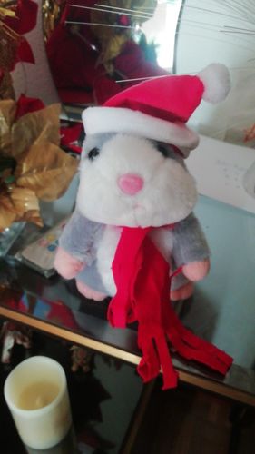 Customer photo review of Super Funny Talking Hamster