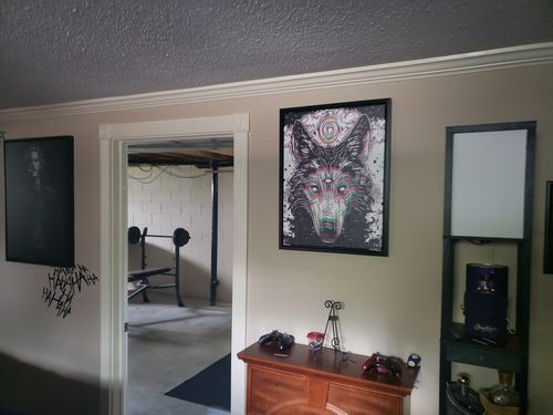 Customer photo review of The Spirit Wolf Canvas Set