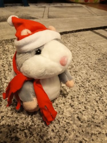 Customer photo review of Super Funny Talking Hamster