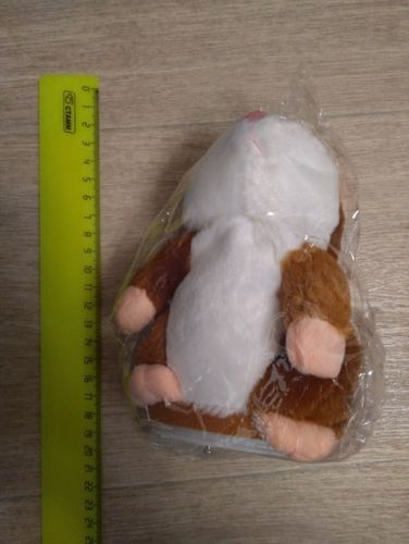 Customer photo review of Super Funny Talking Hamster
