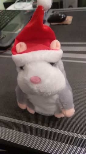Customer photo review of Super Funny Talking Hamster