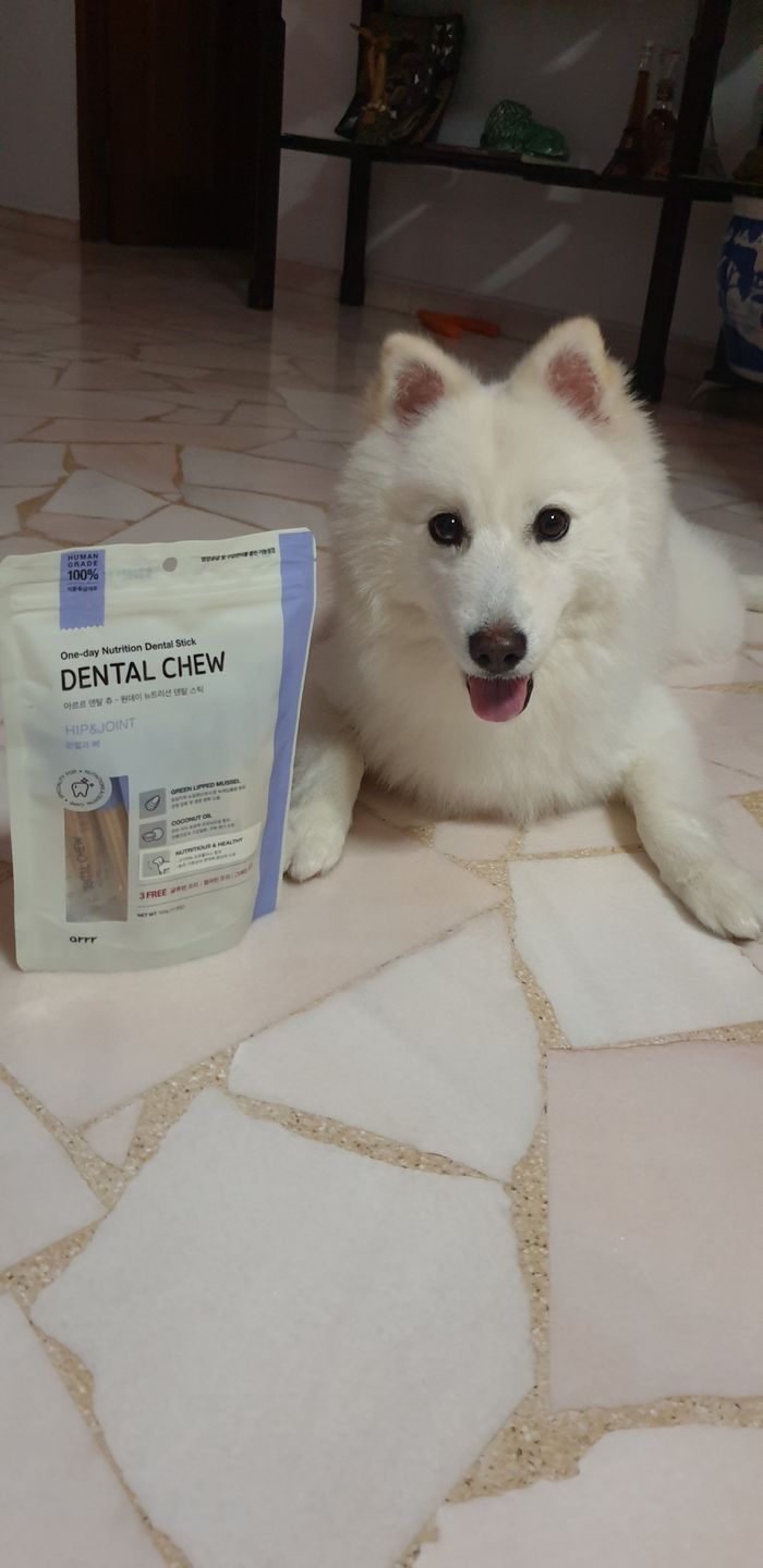 Customer photo review of arrr Dental Chew