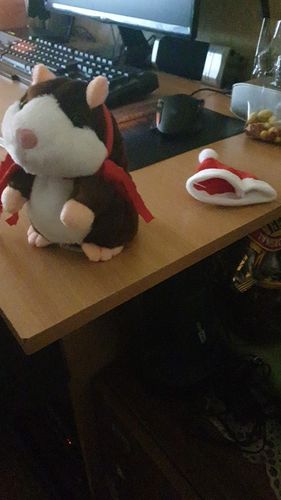 Customer photo review of Super Funny Talking Hamster