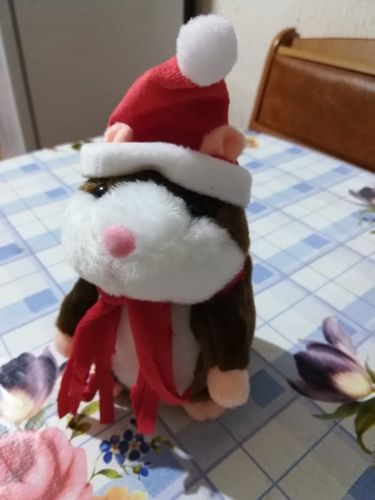 Customer photo review of Super Funny Talking Hamster