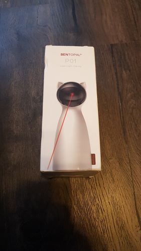 Customer photo review of Cat Interactive Auto Rotating Toy