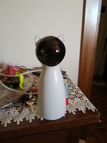 Customer photo review of Cat Interactive Auto Rotating Toy