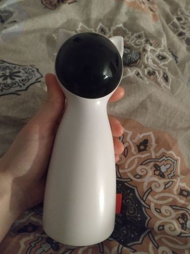 Customer photo review of Cat Interactive Auto Rotating Toy