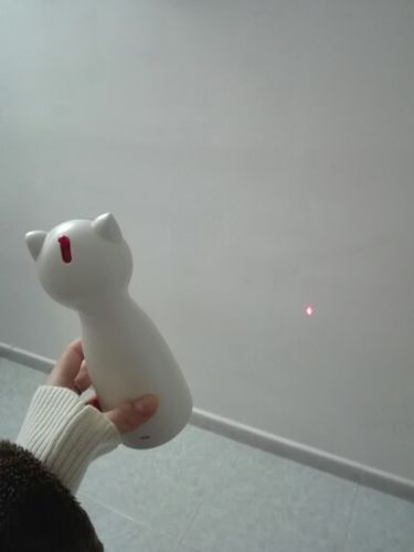 Customer photo review of Cat Interactive Auto Rotating Toy