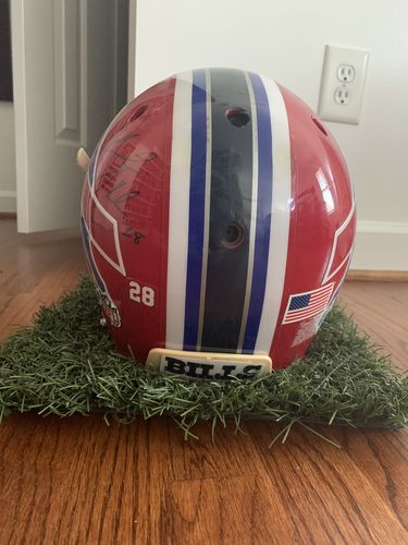 Customer photo review of Field Turf