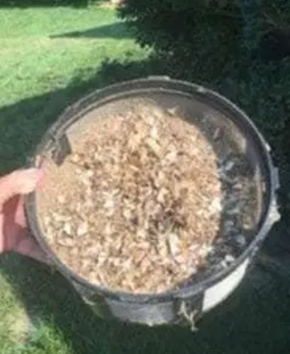 Customer photo review of ModernMint™ Mosquito Killer Trap 【72% OFF】