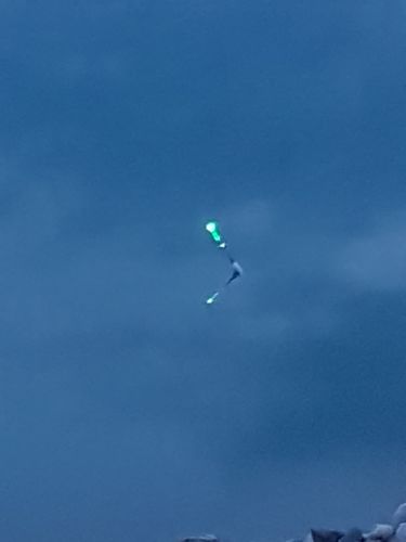 Customer photo review of 5g Smart Fishing Float