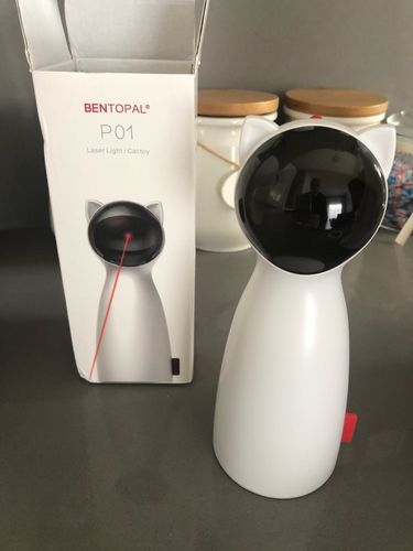 Customer photo review of Cat Interactive Auto Rotating Toy