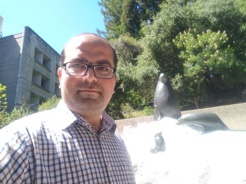 Customer photo review of Medjool Whole Dates