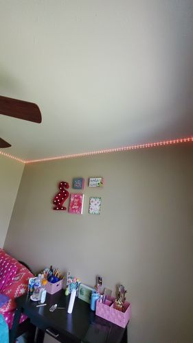 Customer photo review of LED Light Kit
