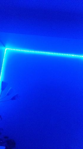 Customer photo review of LED Light Kit