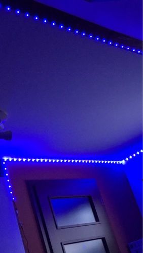 Customer photo review of LED Light Kit