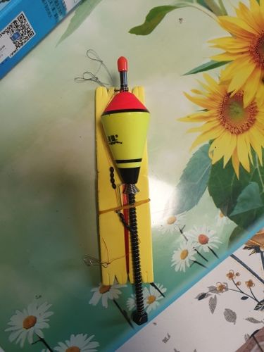 Customer photo review of AutoDobber | De automatische vishaak